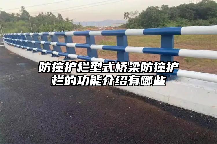 防撞护栏型式桥梁防撞护栏的功能介绍有哪些