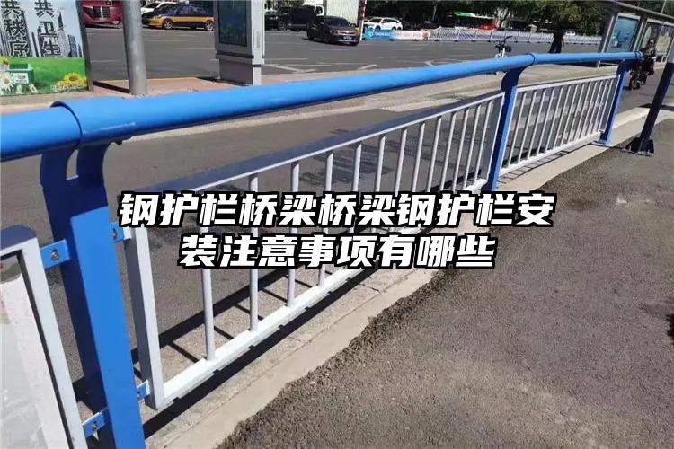 钢护栏桥梁桥梁钢护栏安装注意事项有哪些