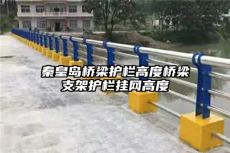 秦皇岛桥梁护栏高度桥梁支架护栏挂网高度