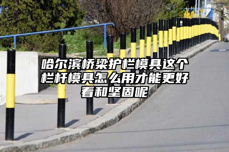 哈尔滨桥梁护栏模具这个栏杆模具怎么用才能更好看和坚固呢