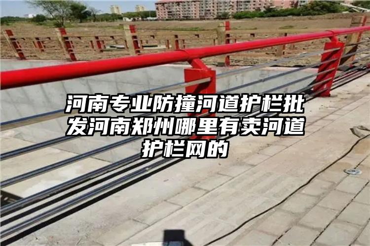 河南专业防撞河道护栏批发河南郑州哪里有卖河道护栏网的