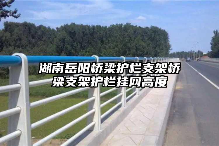 湖南岳阳桥梁护栏支架桥梁支架护栏挂网高度