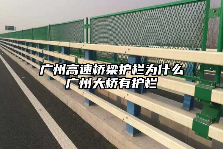广州高速桥梁护栏为什么广州大桥有护栏