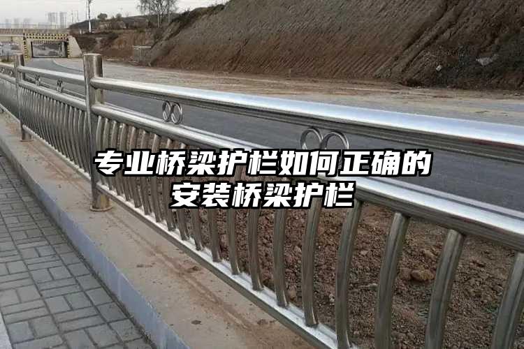专业桥梁护栏如何正确的安装桥梁护栏
