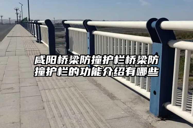 咸阳桥梁防撞护栏桥梁防撞护栏的功能介绍有哪些