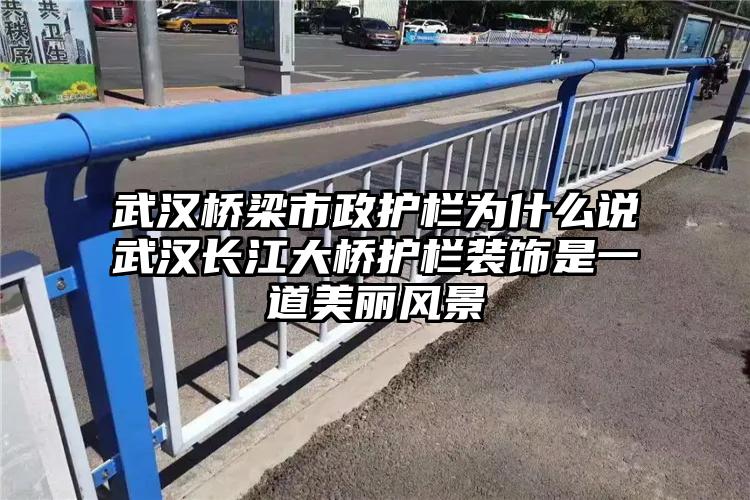 武汉桥梁市政护栏为什么说武汉长江大桥护栏装饰是一道美丽风景