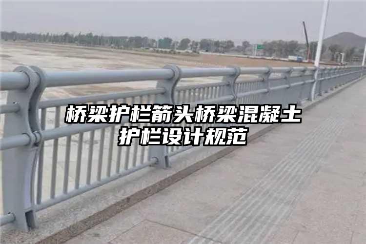 桥梁护栏箭头桥梁混凝土护栏设计规范
