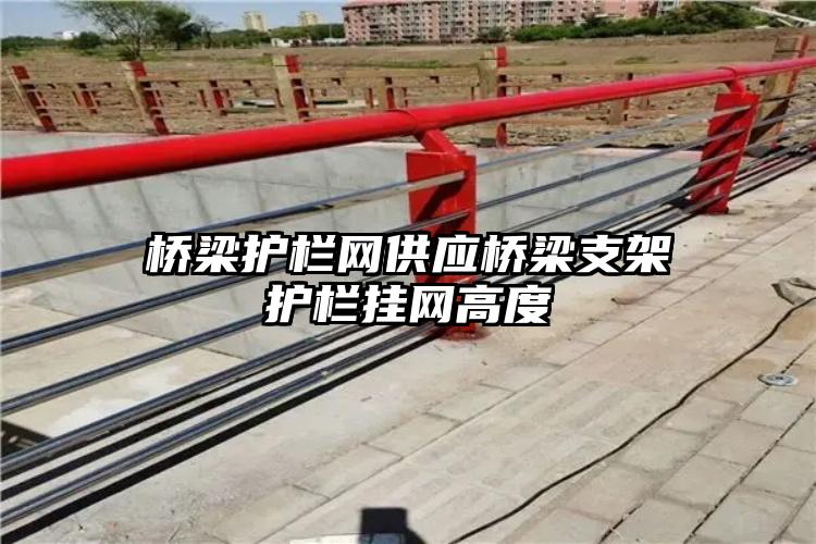 桥梁护栏网供应桥梁支架护栏挂网高度
