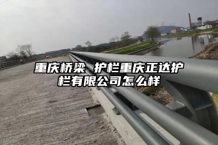 重庆桥梁 护栏重庆正达护栏有限公司怎么样