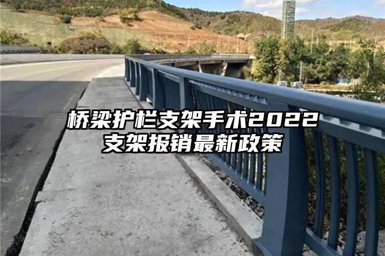 桥梁护栏支架手术2022支架报销最新政策
