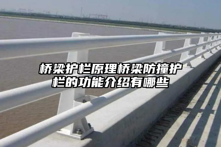 桥梁护栏原理桥梁防撞护栏的功能介绍有哪些