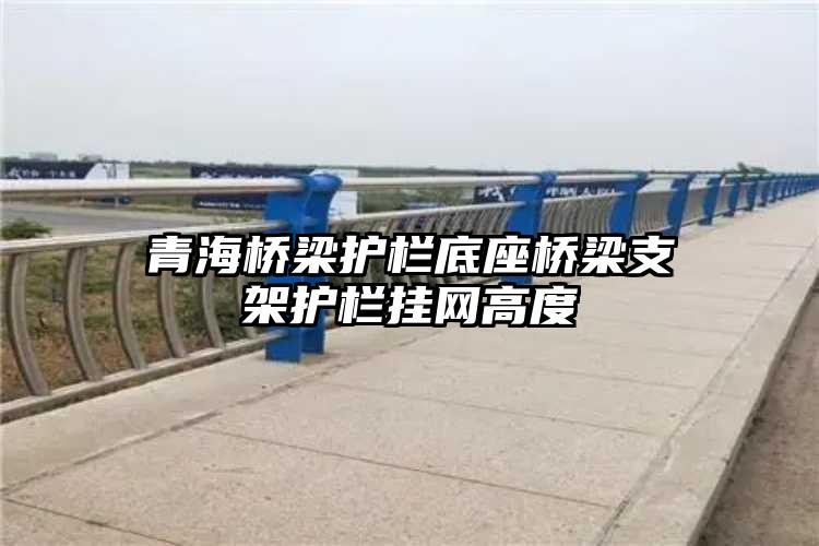 青海桥梁护栏底座桥梁支架护栏挂网高度