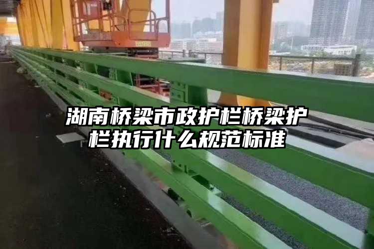 湖南桥梁市政护栏桥梁护栏执行什么规范标准
