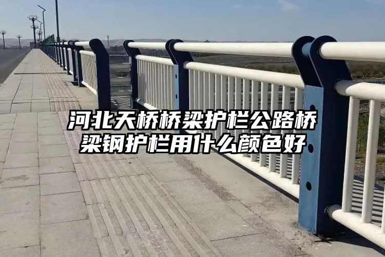 河北天桥桥梁护栏公路桥梁钢护栏用什么颜色好