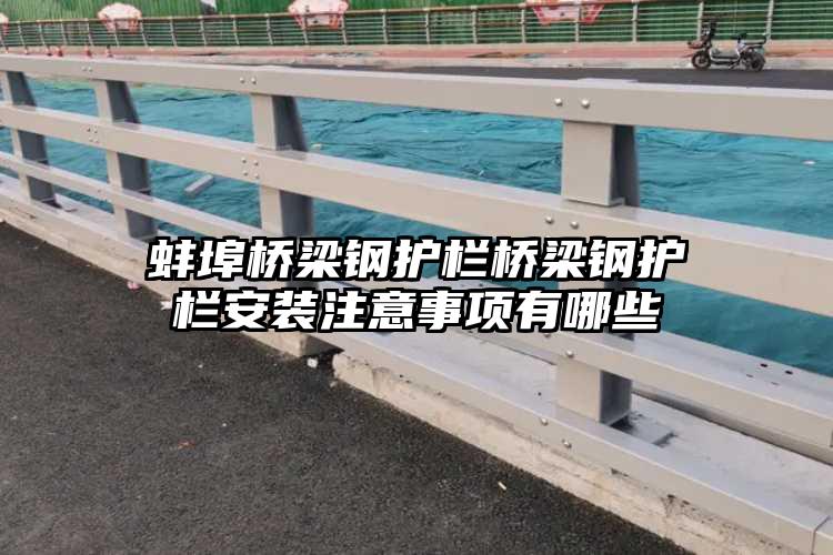 蚌埠桥梁钢护栏桥梁钢护栏安装注意事项有哪些