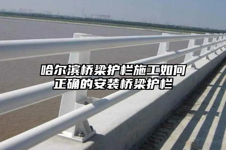 哈尔滨桥梁护栏施工如何正确的安装桥梁护栏