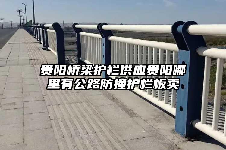 贵阳桥梁护栏供应贵阳哪里有公路防撞护栏板卖